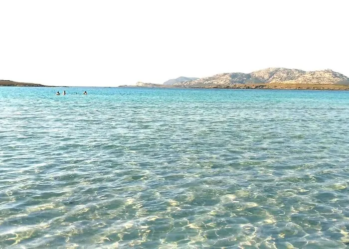 Il Gatto Pescatore 3* Stintino