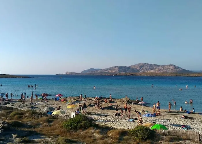 Il Gatto Pescatore 3* Stintino