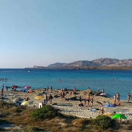 Il Gatto Pescatore 3* Стинтино