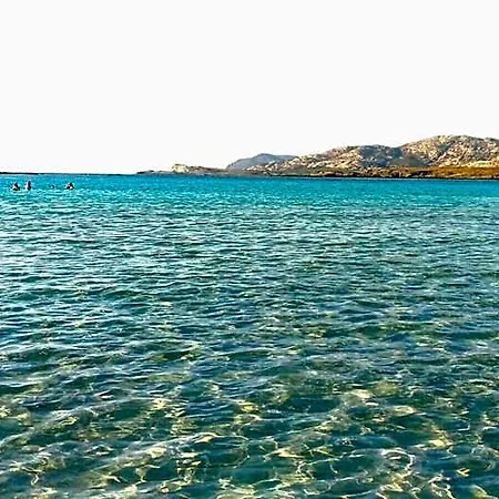 Il Gatto Pescatore