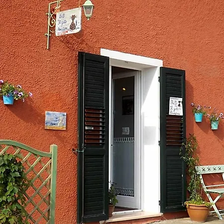 Il Gatto Pescatore