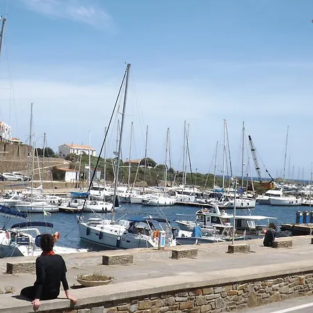 Il Gatto Pescatore