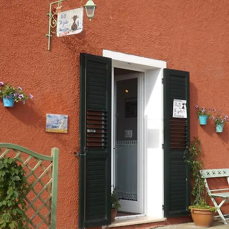 Bed and Breakfast Il Gatto Pescatore Stintino